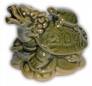драконочерепах с черепашкой на спине